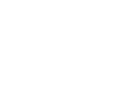 RM Salt Logo